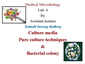 Medical Microbiology Lab 4 By Assistant lecturer Zainab