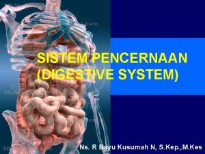 SISTEM PENCERNAAN DIGESTIVE SYSTEM Ns R Bayu Kusumah