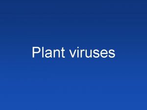 Plant viruses Plant viruses Nucleic acid in a