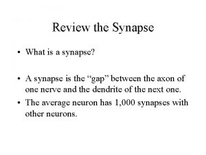 Review the Synapse What is a synapse A