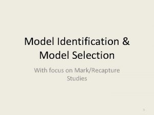 Model Identification Model Selection With focus on MarkRecapture