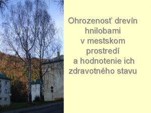 Ohrozenos drevn hnilobami v mestskom prostred a hodnotenie