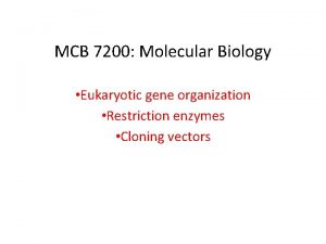 Cloning vector