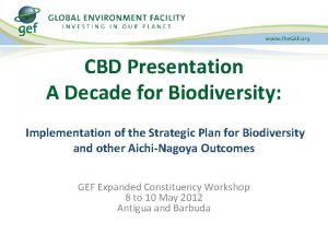 CBD Presentation A Decade for Biodiversity Implementation of