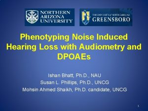 Phenotyping Noise Induced Hearing Loss with Audiometry and