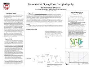 Transmissible Spongiform Encephalopathy Prion Protein Diseases Lisa Kennedy