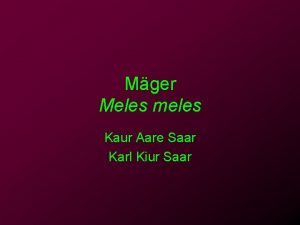 Mger Meles meles Kaur Aare Saar Karl Kiur