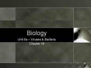 Biology Unit 8 a Viruses Bacteria Chapter 18