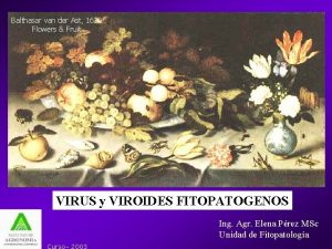 Balthasar van der Ast 1620 Flowers Fruit VIRUS