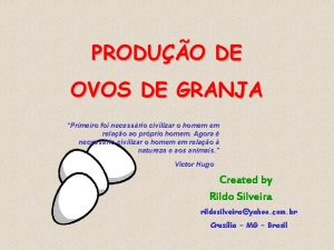 PRODUO DE OVOS DE GRANJA Primeiro foi necessrio