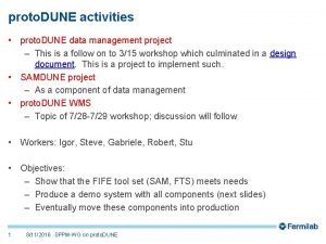 proto DUNE activities proto DUNE data management project proto DUNE activities proto DUNE data management project