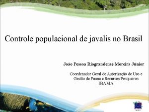 Controle populacional de javalis no Brasil Joo Pessoa