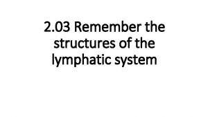 2 03 Remember the structures of the lymphatic