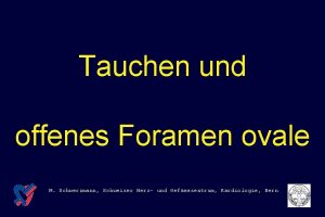 Tauchen und offenes Foramen ovale M Schwerzmann Schweizer