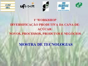 ICIDCA 1 WORKSHOP DIVERSIFICAO PRODUTIVA DA CANADEACAR NOVOS