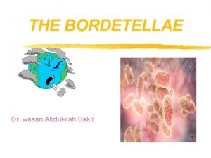 THE BORDETELLAE Dr wasan Abdulilah Bakir THE BORDETELLAE
