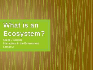 What is an ecosystem grade 7 What is an ecosystem grade 7