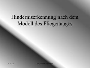 Hinderniserkennung nach dem Modell des Fliegenauges 10 01