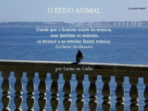 O REINO ANIMAL Desde que o homem existe