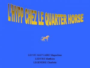 Matthieu legendre Matthieu legendre