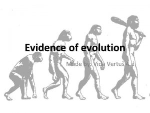 Evidence of evolution Made by Vida Vertu 4