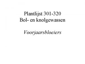 Plantlijst 301 320 Bol en knolgewassen Voorjaarsbloeiers llium