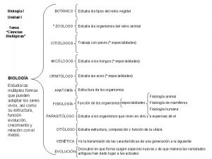 Biologa I BOTNICO Estudia los tipos del reino