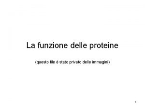 Le proteine sono formate da