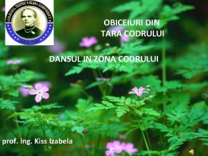 Dantul codrenesc