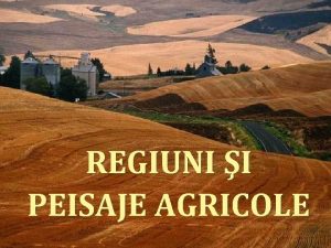 Peisaje agricole din romania