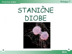 Biologija 7 Stanine diobe STANINE DIOBE Stanine diobe