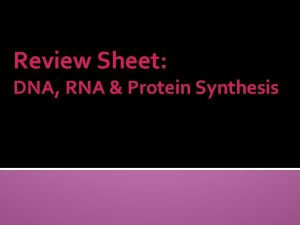Rna protein synthesis
