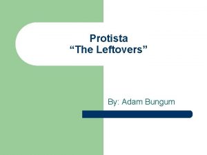 Protista The Leftovers By Adam Bungum Main Points