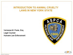 INTRODUCTION TO ANIMAL CRUELTY LAWS IN NEW YORK