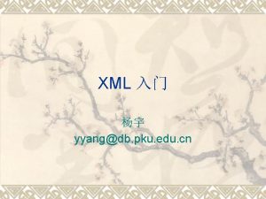 XML yyangdb pku edu cn XML v XML