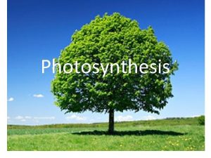 Photosynthesis requires Photosynthesis requires