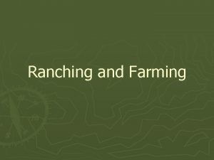 Ranching and Farming The Spanish Introduce Cattle The