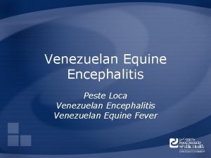 Venezuelan Equine Encephalitis Peste Loca Venezuelan Encephalitis Venezuelan