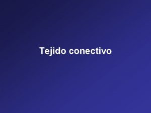 Tejido conectivo laxo