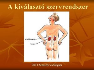 A kivlaszt szervrendszer 2011 Masszr vfolyam A kivlaszt