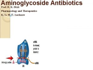 Aminoglycoside Antibiotics Prof R K Dixit Pharmacology and