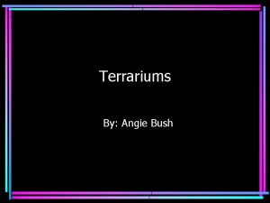 Terrariums By Angie Bush Introduction A terrarium is