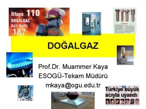 Prof.dr. muammer kaya