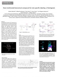 New multimodal biarsenical compound for sitespecific labeling of