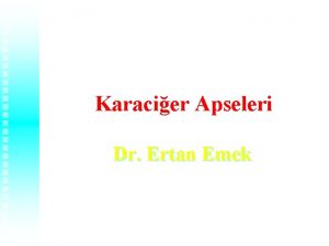 Dr ertan emek