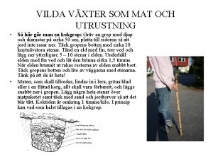 VILDA VXTER SOM MAT OCH UTRUSTNING S hr