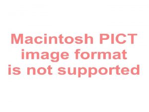 Ingestive heterotrophs Ingestive heterotrophs