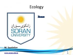 Ecology Biomes M Saadatian www soran edu iq