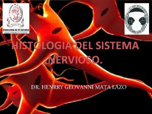Histogénesis del sistema nervioso
