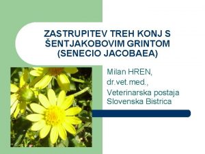 ZASTRUPITEV TREH KONJ S ENTJAKOBOVIM GRINTOM SENECIO JACOBAEA